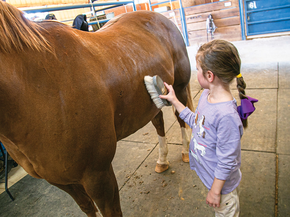 After the lesson, Blake Blanchard brushes Oscar.